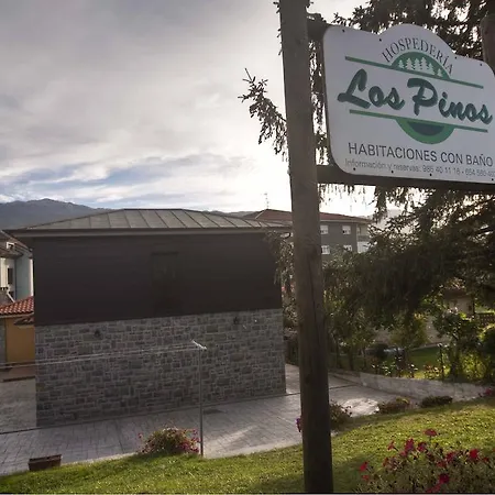 Pensjonat Hospederia Pinos